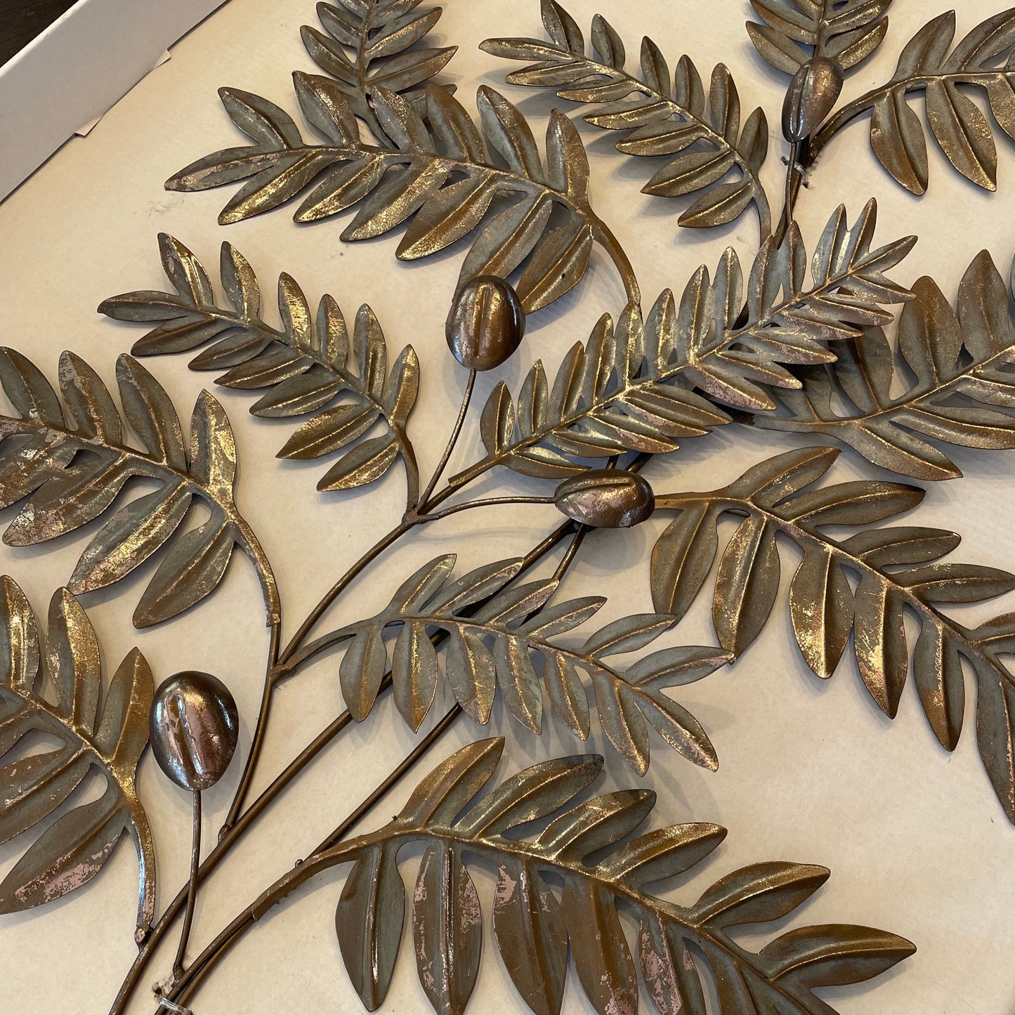 s254 iron olive
