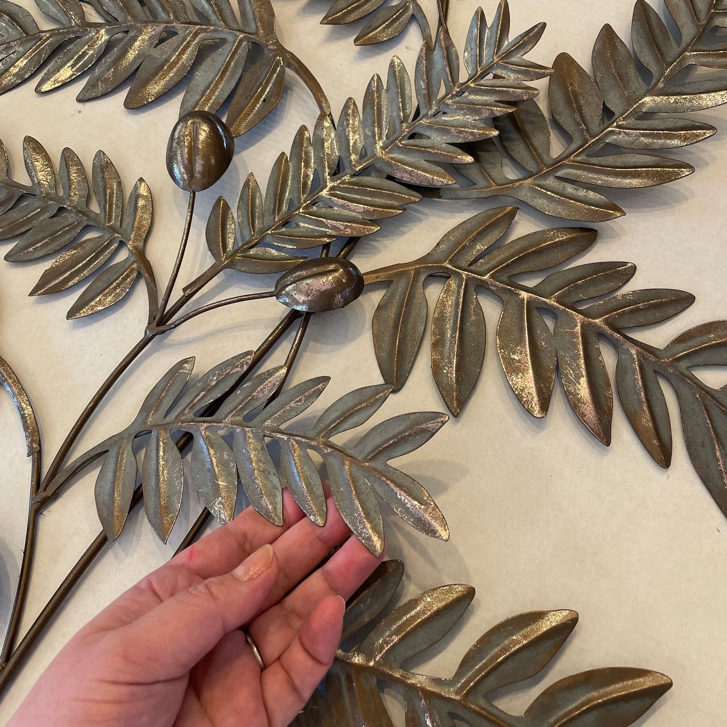 s254 iron olive