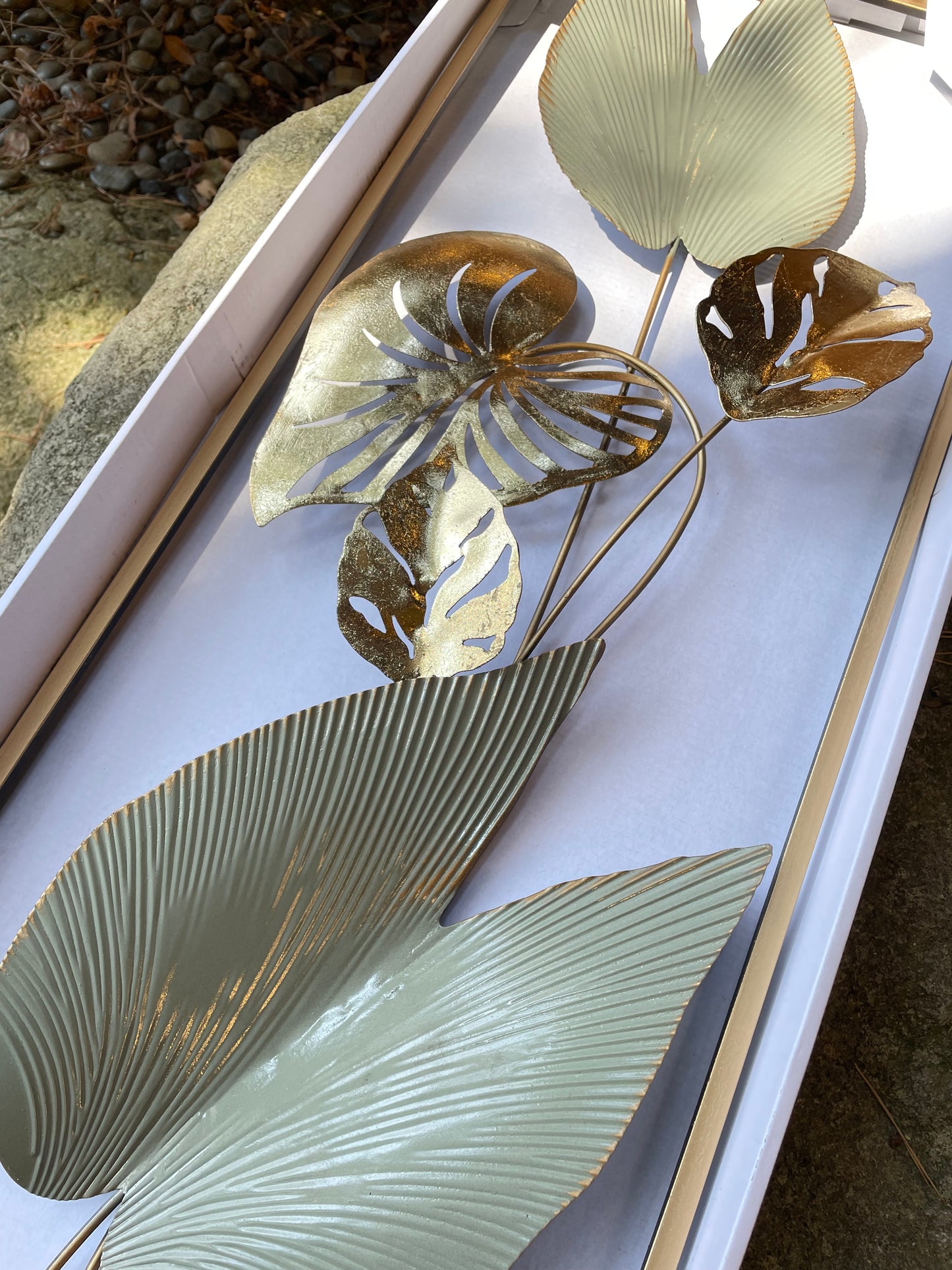 s173 light color leaf