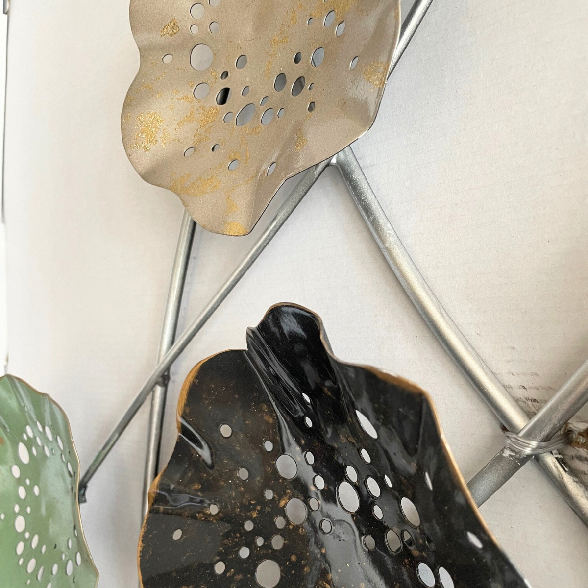 s088 HASU the largest