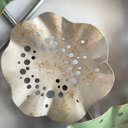 s088 HASU the largest