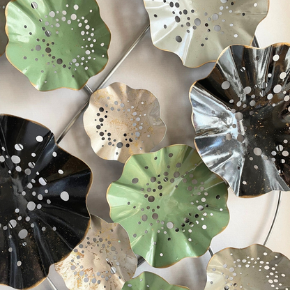 s088 HASU the largest