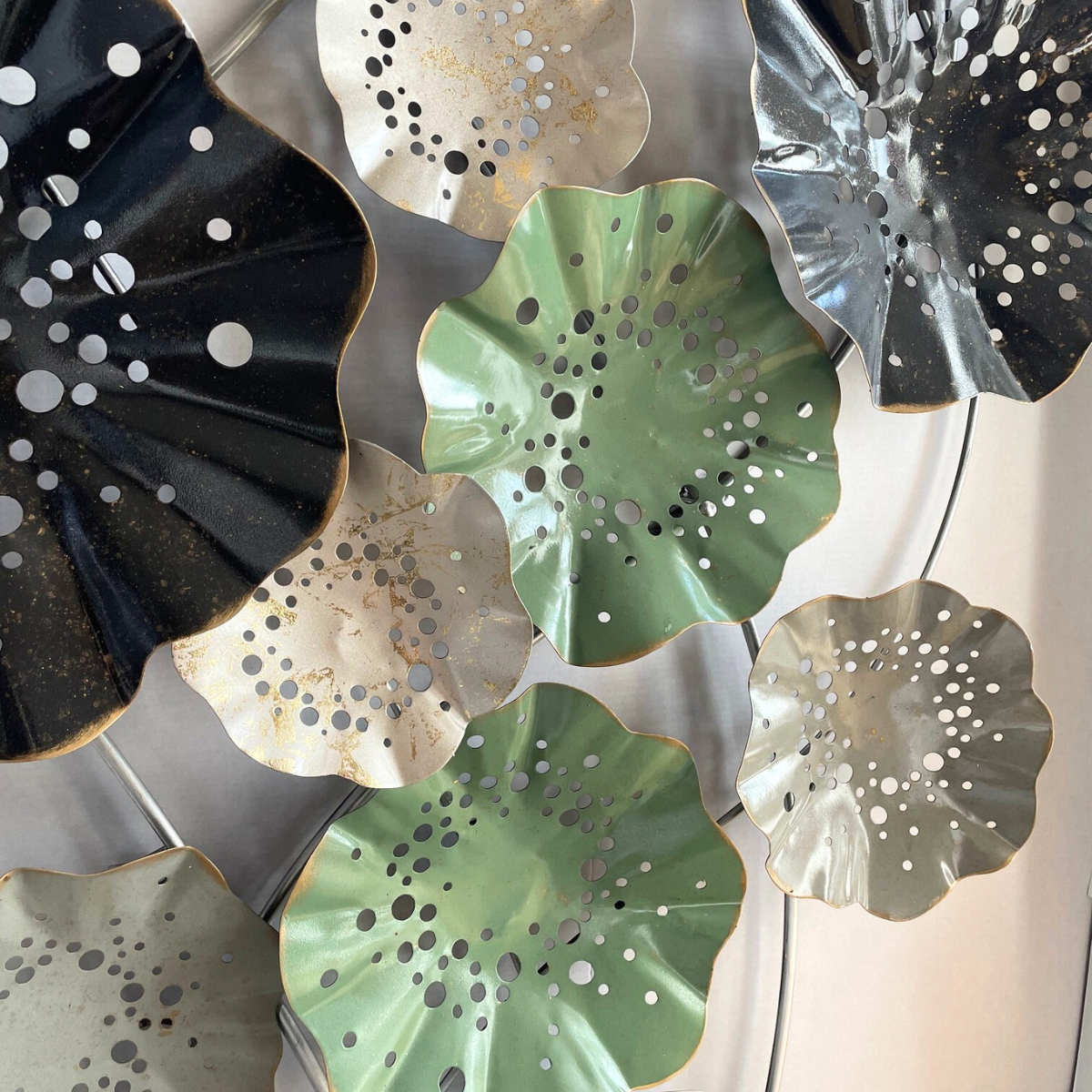 s088 HASU the largest