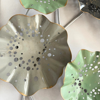 s088 HASU the largest