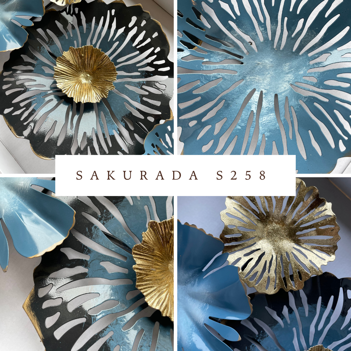 s258 blue flower