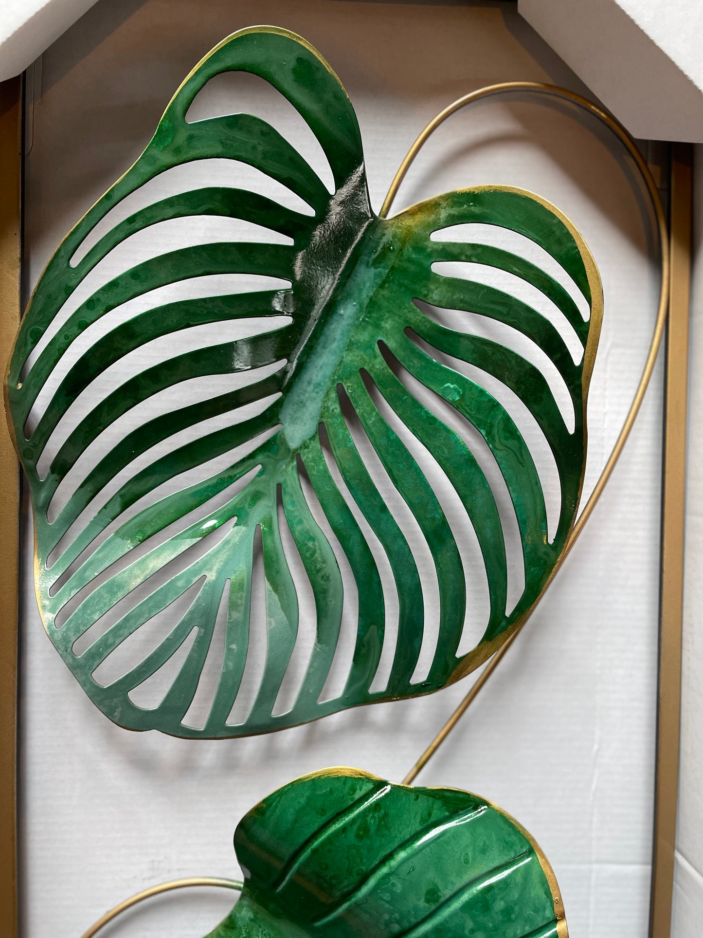 s170 rich monstera